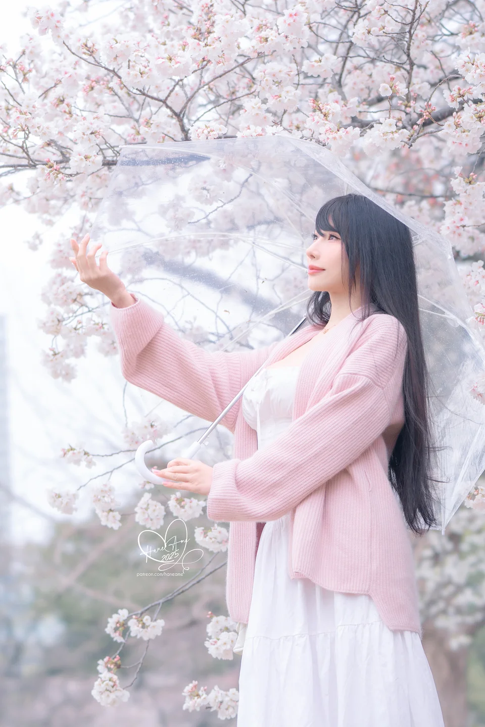雨波_HaneAme - 原创 雨樱下的约定 [65P,4V-941MB] 1 (21).webp